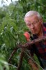 orchard2.jpg - 