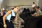 DSC_7968.jpg - 
