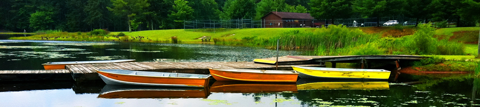 boatsonwater.png