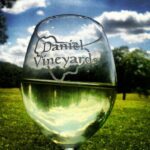 Daniel Vineyards