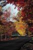 Twin Falls Autumn.jpg - 
