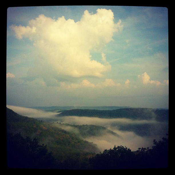 Fog in the Bluestone Gorge, Pipestem Resort State Park #visitwv